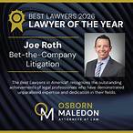 bet the company litigation lawyer